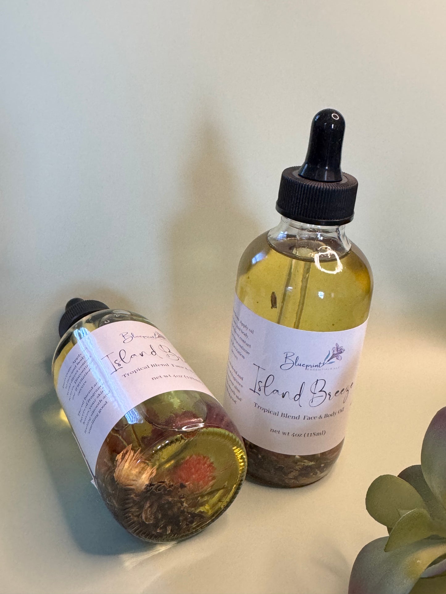 Island Breeze Body Oil (2 oz)