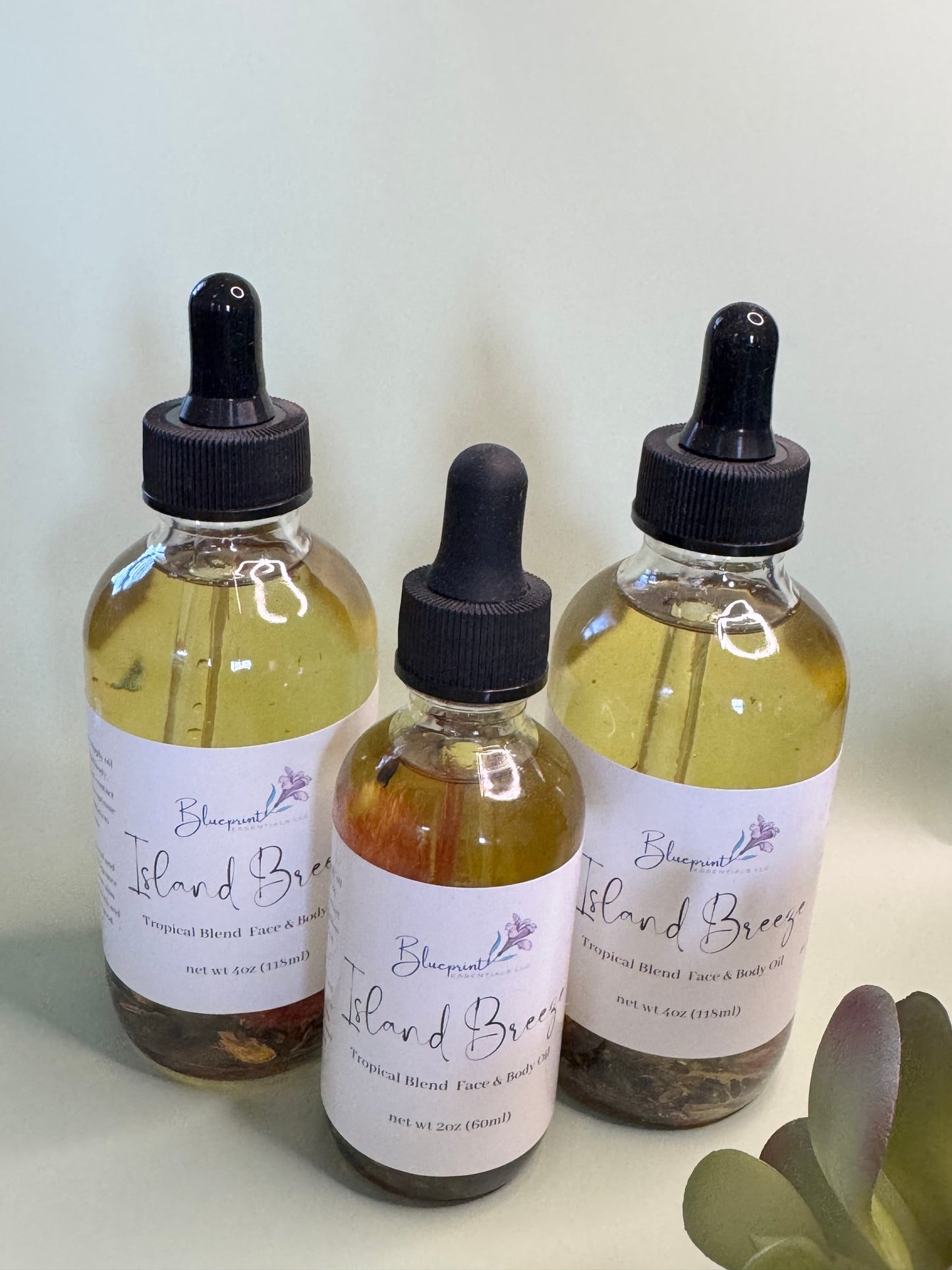 Island Breeze Body Oil (4 oz)